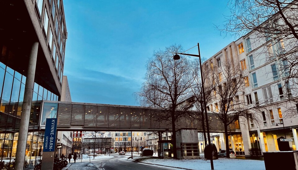 Helseplattformen har satt St. Olavs hospital i en utfordrende situasjon, konkluderer Helsetilsynet. Helseplattformen har satt St. Olavs hospital i en utfordrende situasjon, konkluderer Helsetilsynet.