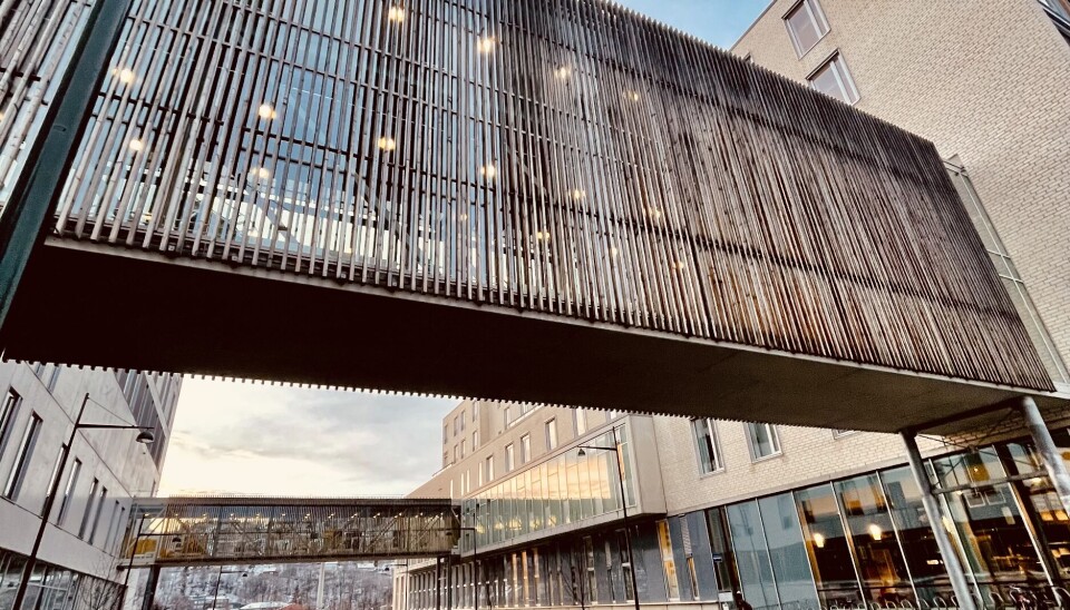 BREVPROBLEMER: Trondheim kommune har gjennomgått rundt 1.400 henvisninger fra St. Olavs hospital som ikke har kommet fram i journalsystemet Helseplattformen. Det er ikke funnet noen tegn til pasientskader på grunn av brev som ikke er kommet fram, ifølge kommunen. BREVPROBLEMER: Trondheim kommune har gjennomgått rundt 1.400 henvisninger fra St. Olavs hospital som ikke har kommet fram i journalsystemet Helseplattformen. Det er ikke funnet noen tegn til pasientskader på grunn av brev som ikke er kommet fram, ifølge kommunen.