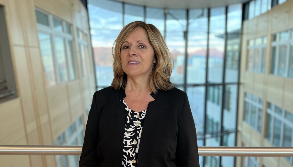 Marit Lind, konstituert administrerende direktør ber i et forslag til vedtak styret om å se nærmere på organisering av blant annet akutt, føde, og psykisk helsevern. Marit Lind, konstituert administrerende direktør ber i et forslag til vedtak styret om å se nærmere på organisering av blant annet akutt, føde, og psykisk helsevern.