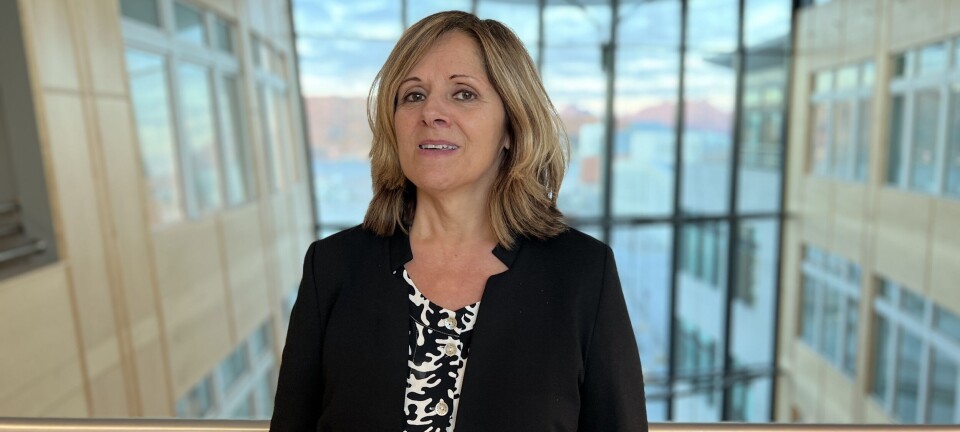 Fjellheim har fått permisjon fra direktørstillingen i Helse Nord