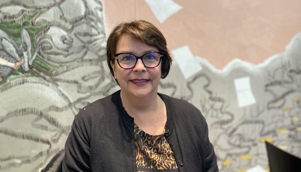 – TRYGGERE: Åse Laila Snåre, avdelingsdirektør for helse og velferd i KS. – TRYGGERE: Åse Laila Snåre, avdelingsdirektør for helse og velferd i KS.