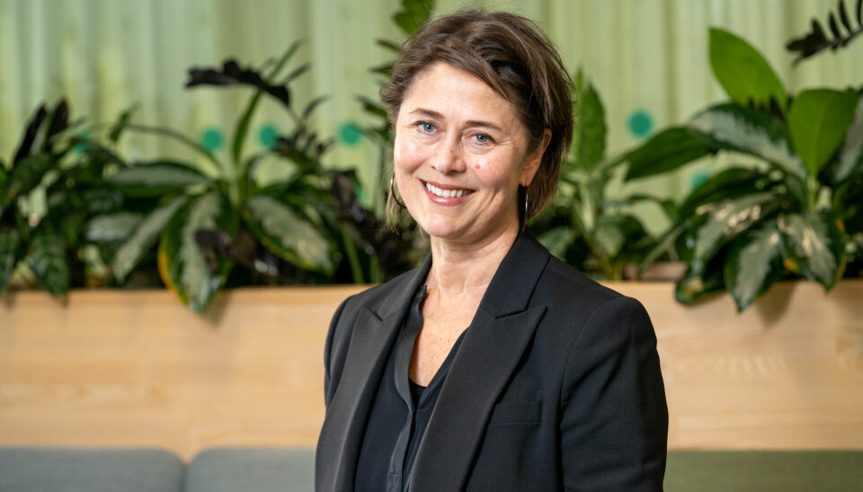 Helen Brandstorp er lege og divisjonsdirektør for analyse og samfunn i Helsedirektoratet. Hun skriver fast for Dagens Medisin.