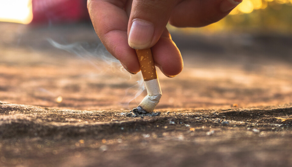 AVHENGIGHET: – Våre resultater viser at det å begynne å røyke tidlig er forbundet med høyere nikotinavhengighet., sier Koji Hasegawa, forskeren bak studien.