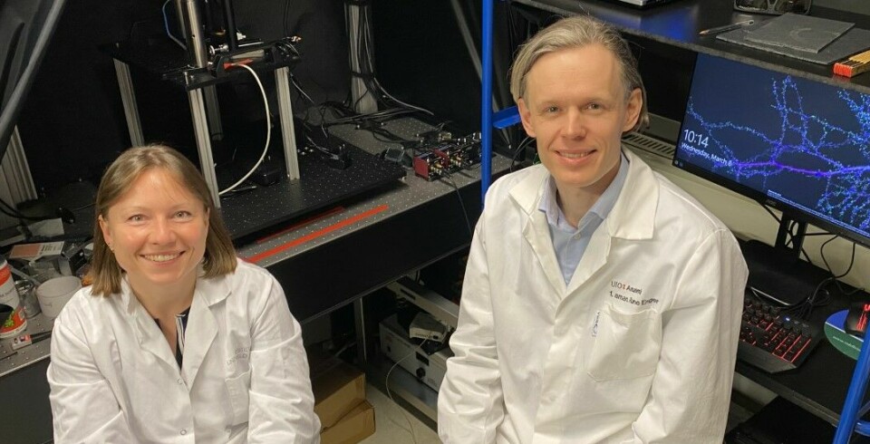 ENDRINGER: Forskerne Laura Bojarskaite og Rune Enger fant ut at blodåre-sammentrekningene og de samtidige endringene i kanalene rundt blodårene hadde mye å si for både væskeflyt og transport av stoffer i hjernen.