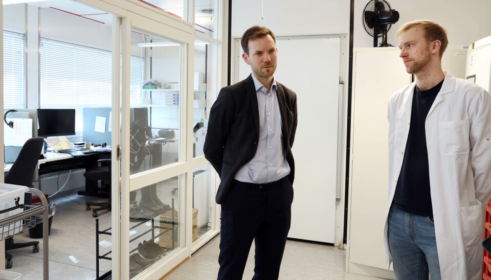 OVERVÅKER: Områdedirektør Trygve Ottersen og overingeniør Rasmus Riis Kopperud ved seksjon for influensa og andre luftveisvirus viser oss rundt i bygget der noe av det virologiske overvåkningsarbeidet hos FHI foregår. OVERVÅKER: Områdedirektør Trygve Ottersen og overingeniør Rasmus Riis Kopperud ved seksjon for influensa og andre luftveisvirus viser oss rundt i bygget der noe av det virologiske overvåkningsarbeidet hos FHI foregår.
