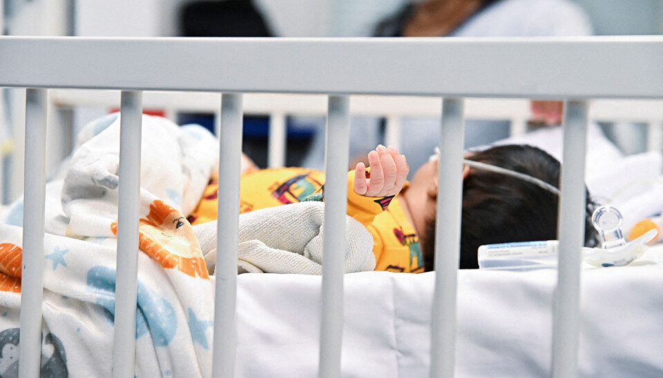 VIRUS: RS-viruset angriper først og fremst små barn, men virusinfeksjonen i åndedrettssystemet er farlig også for eldre. Illustrasjonsbilde: REUTERS/Benjamin Westhoff/File Photo VIRUS: RS-viruset angriper først og fremst små barn, men virusinfeksjonen i åndedrettssystemet er farlig også for eldre. Illustrasjonsbilde: REUTERS/Benjamin Westhoff/File Photo