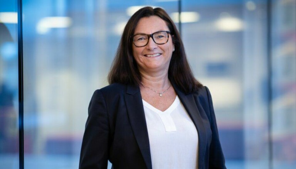 NUMMER 48: Mariann Hornnes, direktør Direktoratet for e-helse.