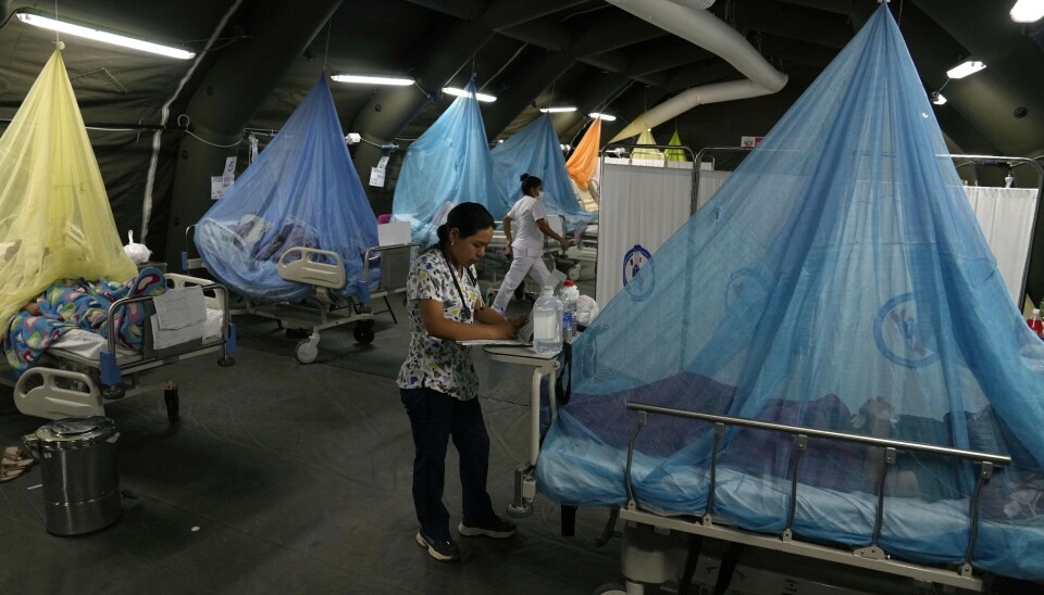 En lege skriver ut medisiner til pasienter rammet av denguefeber ved helsedepartementet i provinshovedstaden Piura i Peru.