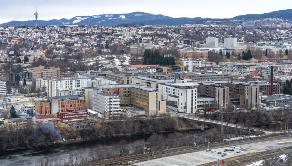 Helseplattformen fører til at St. Olavs hospital ikke klarer å ta unna kreftpasienter som trenger rask behandling.
Foto: Gorm Kallestad / NTB