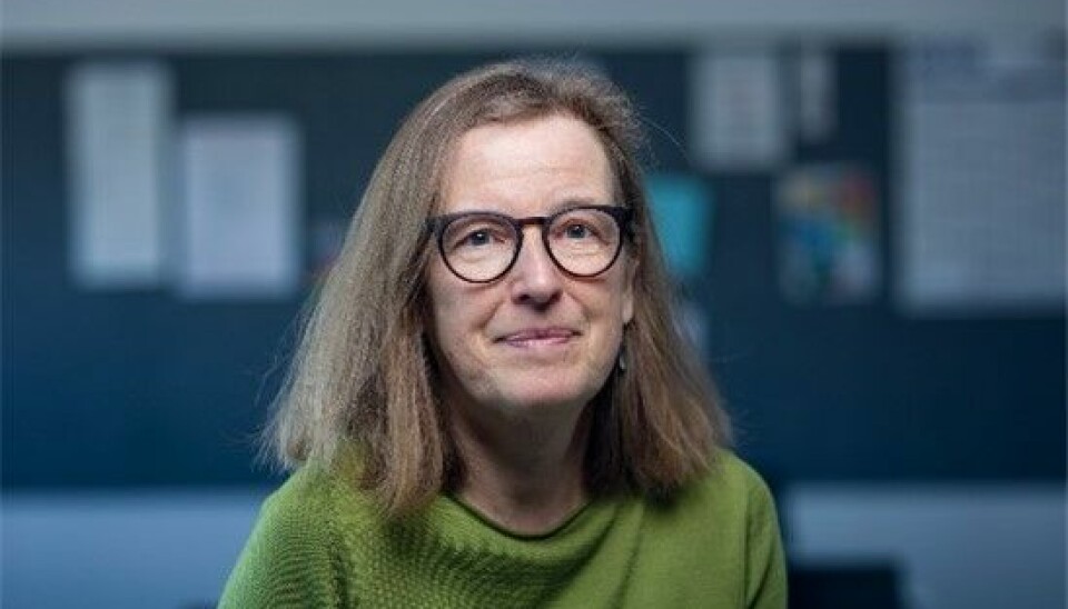 Lene Seibæk er seniorforsker, (PhD) på Kvinnesykdommer og Fødsler ved Århus Universitetshospital, Danmark