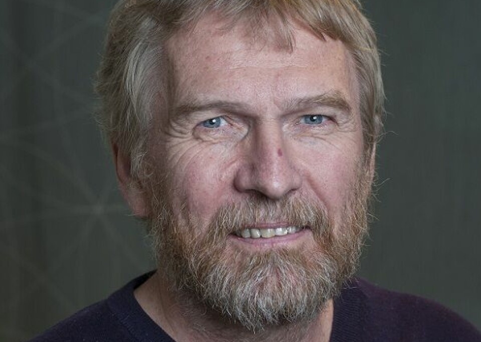 Anders Grimsmo er professor emeritus ved Institutt for samfunnsmedisin og sykepleie ved NTNU.