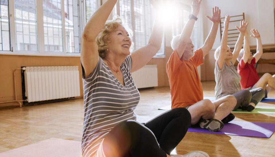 FOREBYGGING: Vi mener det er på tide å innføre preventiv geriatri som et nytt nasjonalt satsningsområde, skriver innsenderne. Illustrasjonsfoto: Getty Images. FOREBYGGING: Vi mener det er på tide å innføre preventiv geriatri som et nytt nasjonalt satsningsområde, skriver innsenderne. Illustrasjonsfoto: Getty Images.
