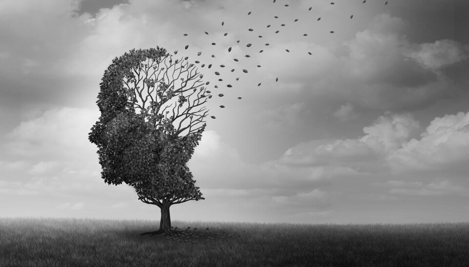 MÅ FORSKE MER: Kronisk stress og depresjon kan knyttes til økt risiko for å utvikle Alzheimers sykdom, viser en svensk studie.