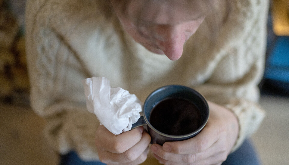 TETT I NESEGREVET: Rhinovirus dominerer blant luftveisinfeksjonene nå. Foto: Gorm Kallestad / NTB