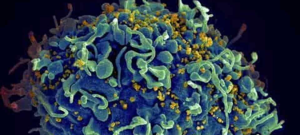 Medisin mot hiv 100 prosent effektiv for kvinner: – Omtrent en ny vaksine