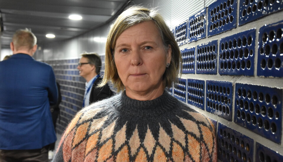 SVARER: Legeforeningens president Anne-Karin Rime svarer helsepersonell som etterlyser en sterkere reaksjon fra Legeforeningen på krigshandlingene i Gaza.