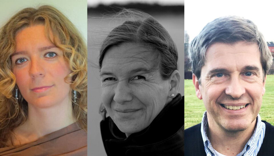 KARTLEGGING: Klinikere bør gjøre sitt beste for å kartlegge og følge med på somatisk helse hos pasienter med nevroutviklingsforstyrrelser i alle aldre, skriver fra venstre: Helene Barone, Heike Eichele og Mats Fredriksen. Foto: Privat/montasje