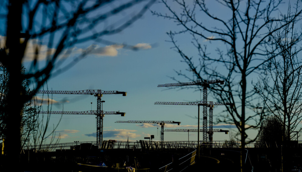 Kraner på byggeplassen der Livsvitenskapsbygget til Universitetet i Oslo skal stå ferdig i 2026-2027. Foto: Stian Lysberg Solum / NTB