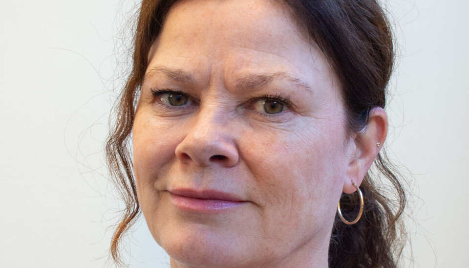 KJENNSKAP TIL KUNNSKAP: Alle må ikke vite om og forstå helseregistrene. Men de som har ansvar for å frembringe, forvalte og bruke helsedataene skal kjenne til dem, stole på dem og bruke dem flittig, skriver Christina Rolfheim-Bye.
