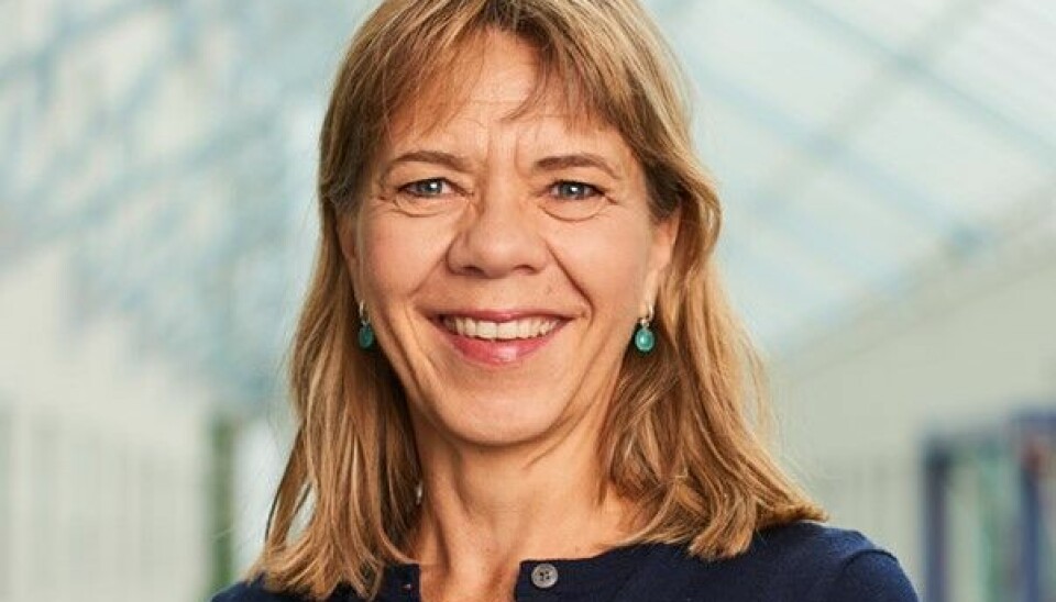 Sameline Grimsgaard, daglig leder for Tromsø-undersøkelsen og professor ved Universitetet i Tromsø – Norges Arktiske Universitet.