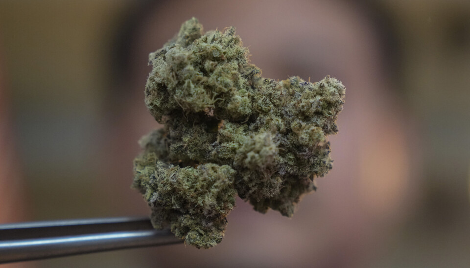 IKKE ALENE: Lege og fagansvarlig ved Eikaklinikken, Aina Mumbi, får ikke lenger jobbe selvstendig som lege, etter at hun i mange år har hjulpet pasienter får cannabis på resept fra utenlandske leger.
