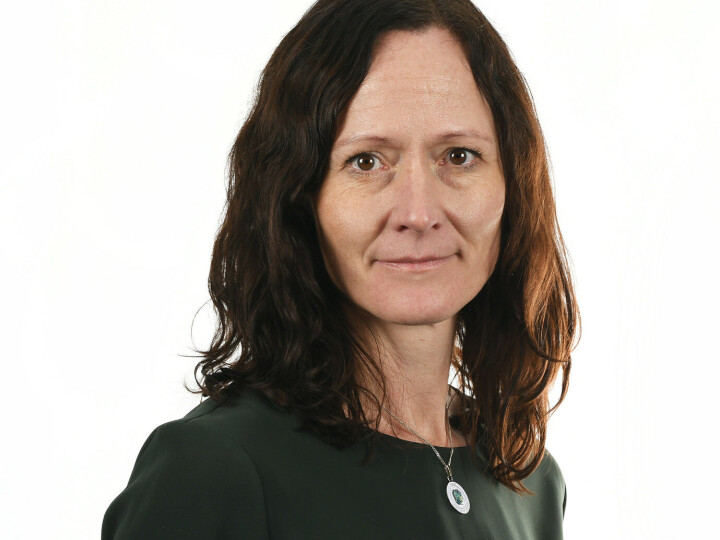 Gro Lillebø