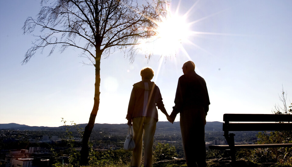 PRIORITERING: Forskerne mener forståelsen av hjernens belønningssentre og prioritering av energibruk kan gjøre det mulig å finne behandlinger som kan redusere belastningen av aldring og sykdom. Foto: Gorm Kallestad / NTB