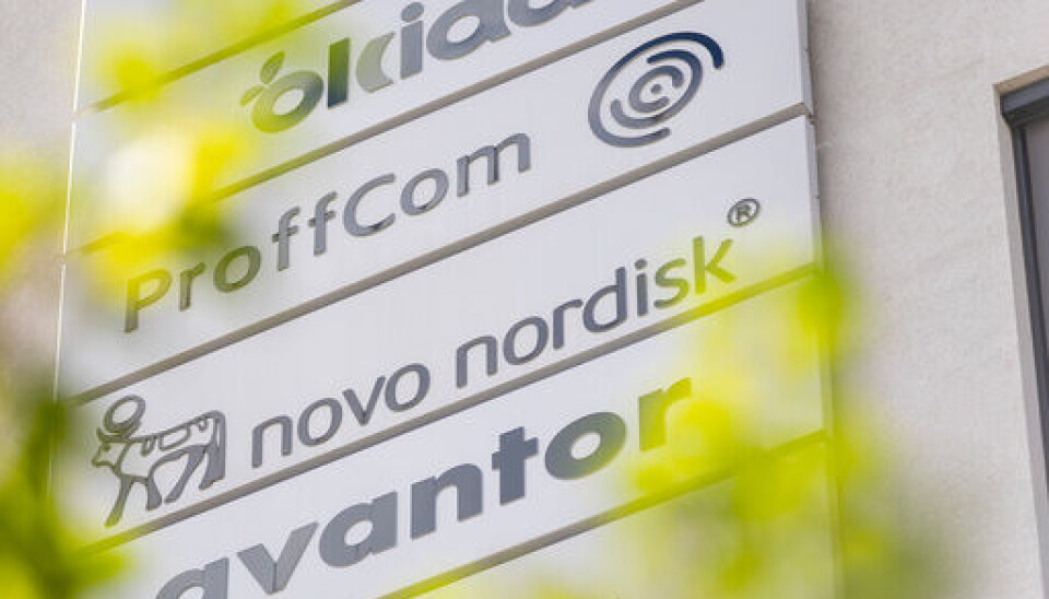 OPPJUSTERER PROGNOSENE: Kvartalsresultatet til Novo Nordisk slo analytikernes forventninger, og selskapet oppjusterer nå prognosene for 2024.