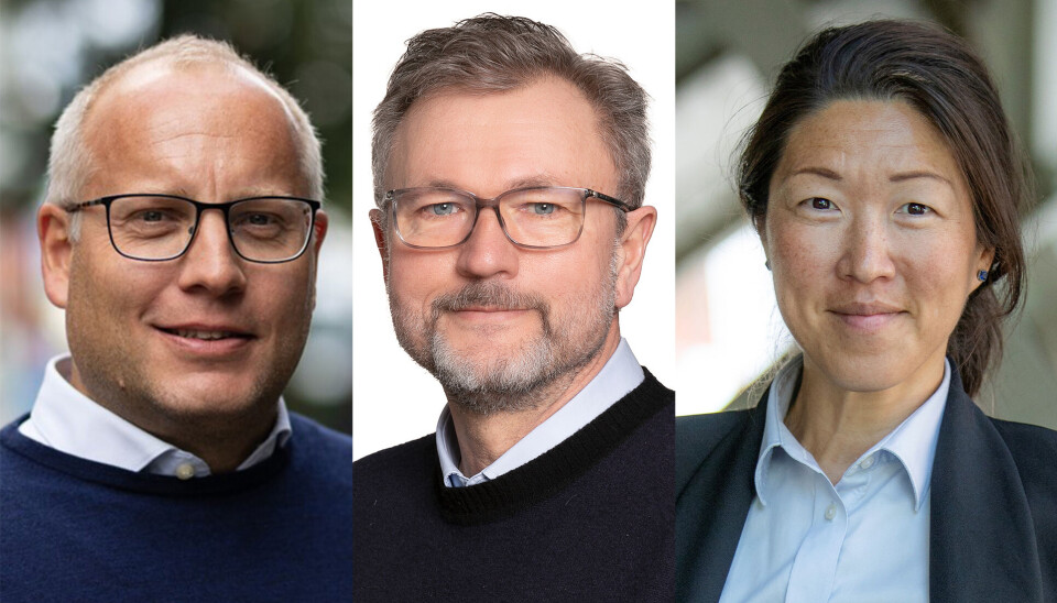 BÆREKRAFT: Sammen kan vi skape et bærekraftig og inkluderende arbeidsliv som gir alle muligheten til å bidra og trives, skriver kronikkforfatterne.