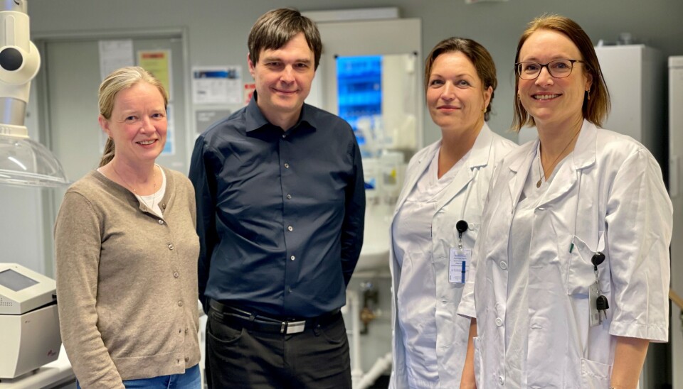 SAMARBEID: Å jobbe på tvers av disiplinene er helt sentralt når en skal utvikle kunstig intelligens-algoritmer som skal løse kliniske behov i fremtidens kreftomsorg. Fra venstre: Ingerid Reinertsen (forskningsleder SINTEF og førsteamanuensis), Gabriel Kiss (førsteamanuensis, NTNU), Hanne Sorger (seksjonsoverlege i lungemedisin og førsteamanuensis) og Marit Valla (overlege patologi og førsteamanuensis).