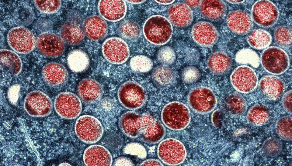 MPOX: Den svenske regjeringen kaller inn krisegruppe etter mpox-tilfelle. Det europeiske smittevernbyrået ECDC hever risikoen for mpox-smitte i Europa fra lav til moderat.