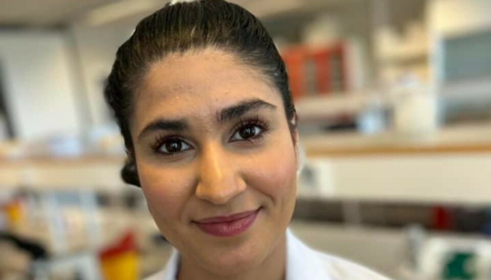 STOLT: Når jeg som bioingeniørstudent ser noen med min fagbakgrunn oppnå suksess i ulike felt, kjenner jeg en enorm stolthet, skriver Nawisa Falahzadeh.
