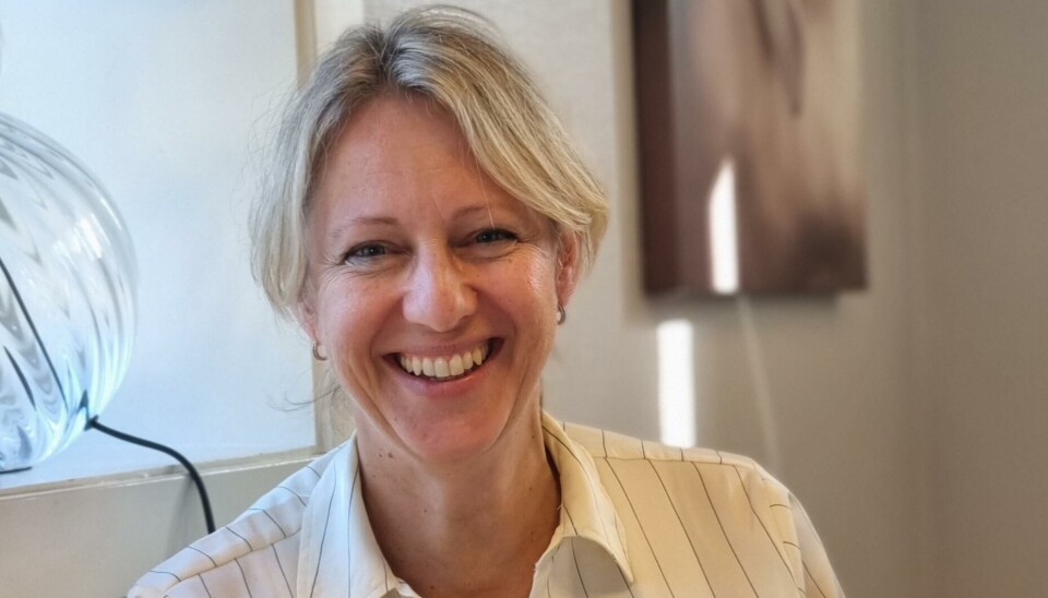Anne Kristin VIk