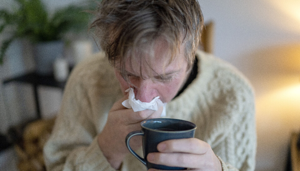 NÅDD TOPPEN: Det kommer fortsatt inn mange positive mykoplasma-tester, men Folkehelseinstituttet mener likevel at toppen er nådd.