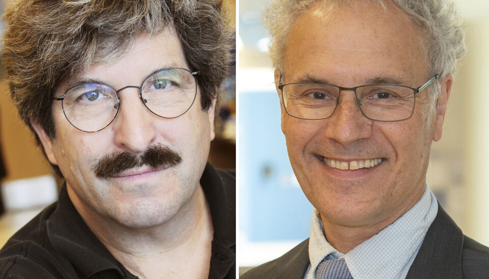 PRISVINNERE: Biologene Gary Ruvkun (t.v.) og Victor Ambros tildeles nobelprisen i medisin for 2024.