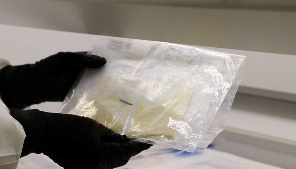 POTENT: I 2023 gjorde norske tollere flere beslag av Nitazener. Nitazener er syntetiske opioider som kan være vesentlig sterkere enn fentanyl og opptil 1000 ganger mer potente enn morfin.
Foto: Tolletaten / NTB