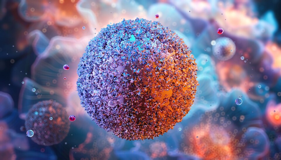 ØKER: Mycoplasma-smitten sprer seg over hele landet, men mer i Sør-Norge enn i nord, konstaterer FHI.