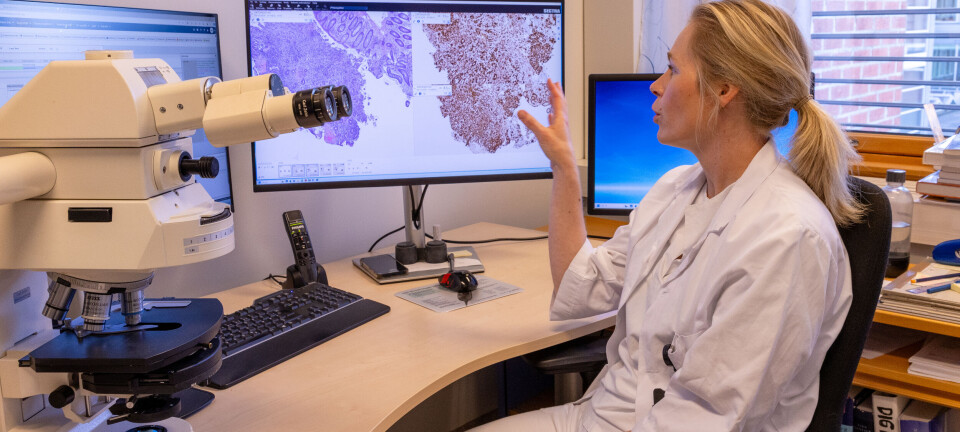 Raskere diagnostikk med ny digital løsning: – Dette har vært svært etterlengtet