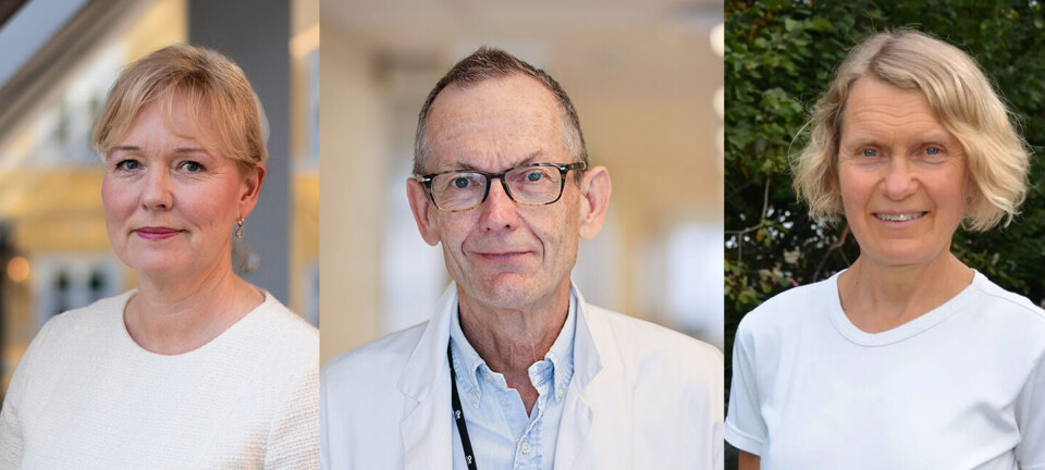 Dette mener fagfolkene