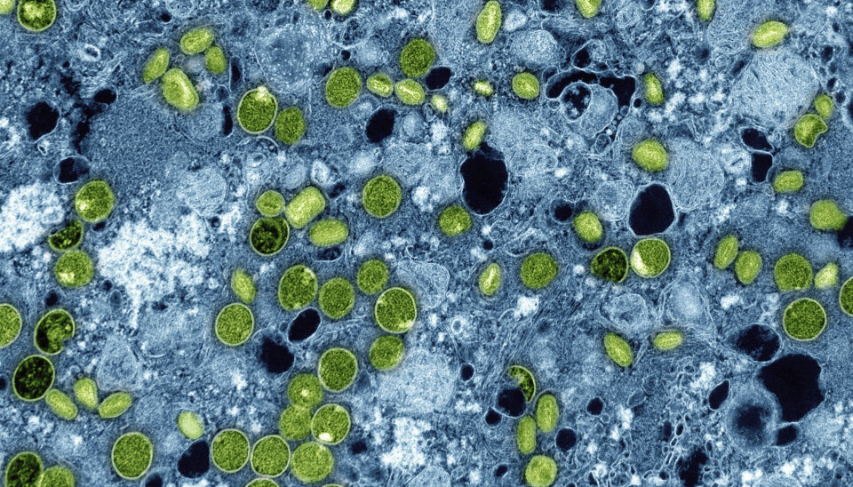 VIRUS: Fra begynnelsen av året og fram til 3. november var det registrert 46.794 tilfeller og mistenkte tilfeller.