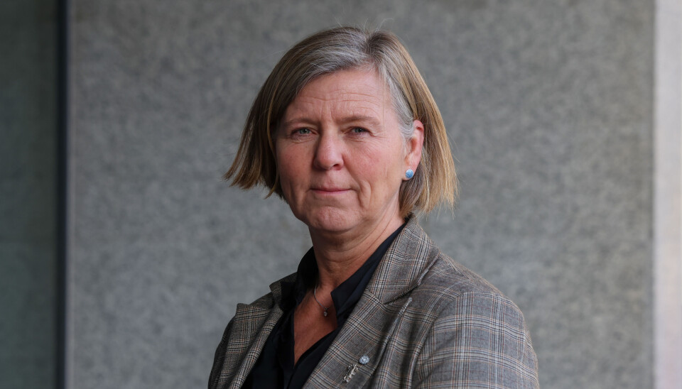 PÅ HØY TID: Det er på høy tid å bygge en robust helsetjeneste som sikrer pasientene god behandling – uten behov for stadige nye skippertak, skriver Anne-Karin Rime, president i Den norske legeforening.
