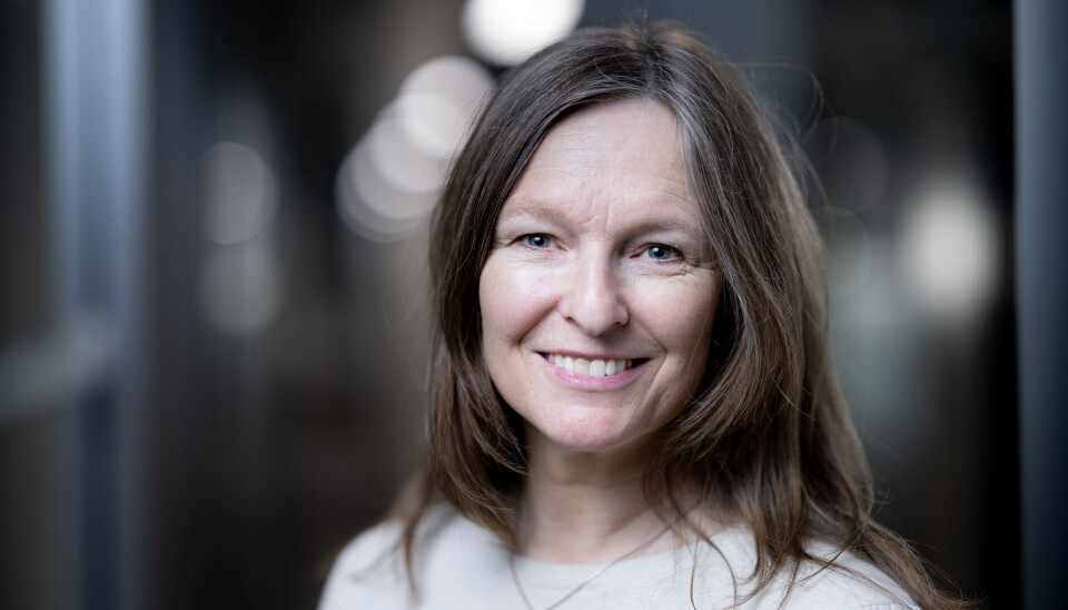Ingunn Skogseth-Stevens