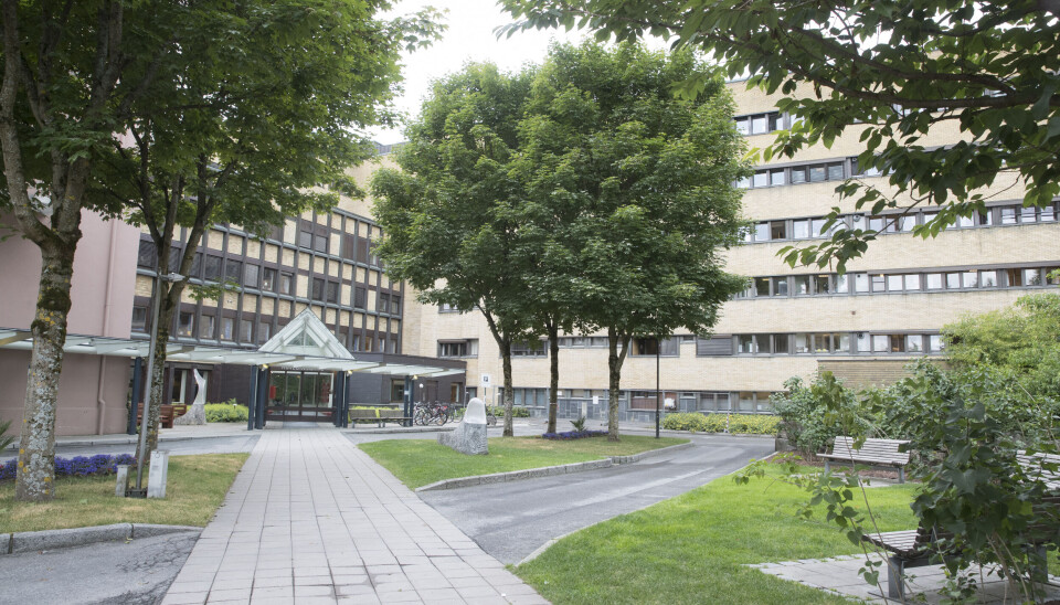 BEKLAGER: Sykehuset Telemark beklager at fem pasienter fikk forsinket kreftdiagnose på grunn av lang ventetid for koloskopiundersøkelse.