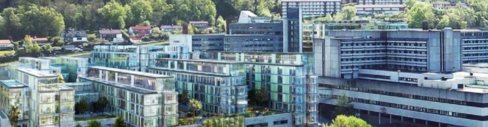 Seksjonsoverlege for fag, forsking og utvikling. Kvinneklinikken, Helse Bergen.