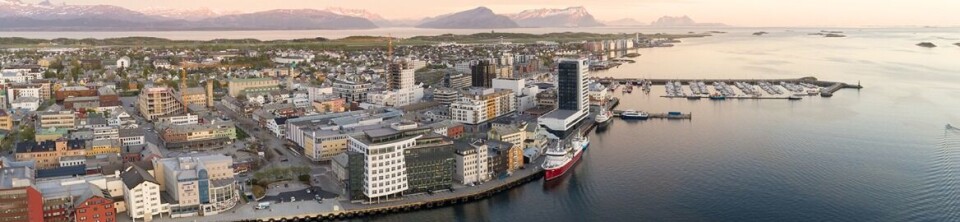 Seksjonsleder for somatikk/ ass fagdirektør.