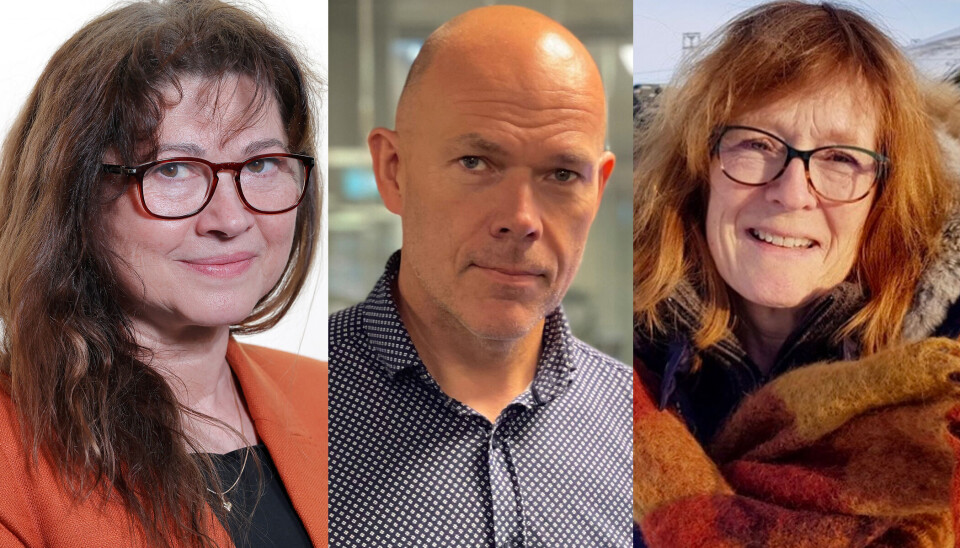 KOMPLEKST: Når problemene er så komplekse og interessentene så mange og varierte som de er på dette feltet kan ikke lederne alene besitte all nødvendig kunnskap for å ta avgjørelser rundt å takle dem, skriver kronikkforfatterne.