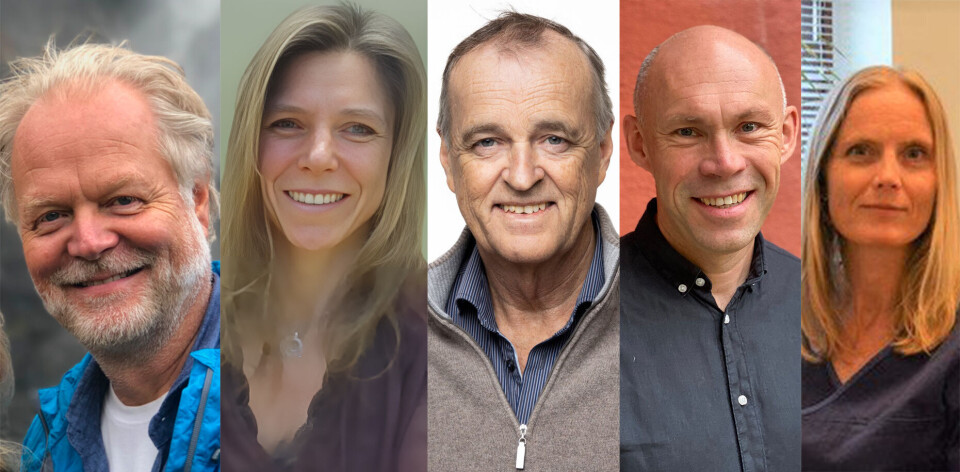 ETTERSPØRSEL: Vi er enige i at den offentlige helsetjenesten må vinne over det private på kvalitet i helsetjenesten. Likevel: Er det riktig å alltid tilby mest mulig, i en tjeneste hvor etterspørsel alltid vil være større enn tilbudet, spør (f.v: Harald Jodalen, Maria Romøren, Erik Werner, Trygve Skonnord og Torunn Bjerve Eide).