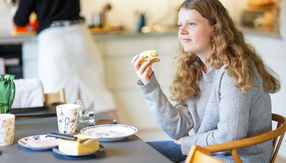 LANGTIDSEFFEKT: Vitenskapskomiteen for mat og miljø (VKM) har ikke funnet forskning på langtidseffekter av konsistensmidler på mage-tarmkanalen. Vitenskapskomiteen for mat og miljø (VKM) har ikke funnet forskning på langtidseffekter av konsistensmidler på mage-tarmkanalen. Foto: Lise Åserud / NTB