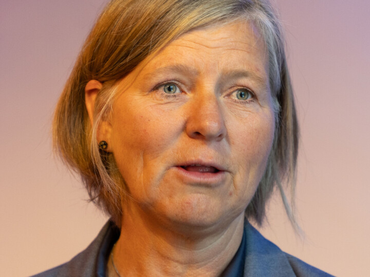 Anne-Karin Rime, president i Den norske legeforening