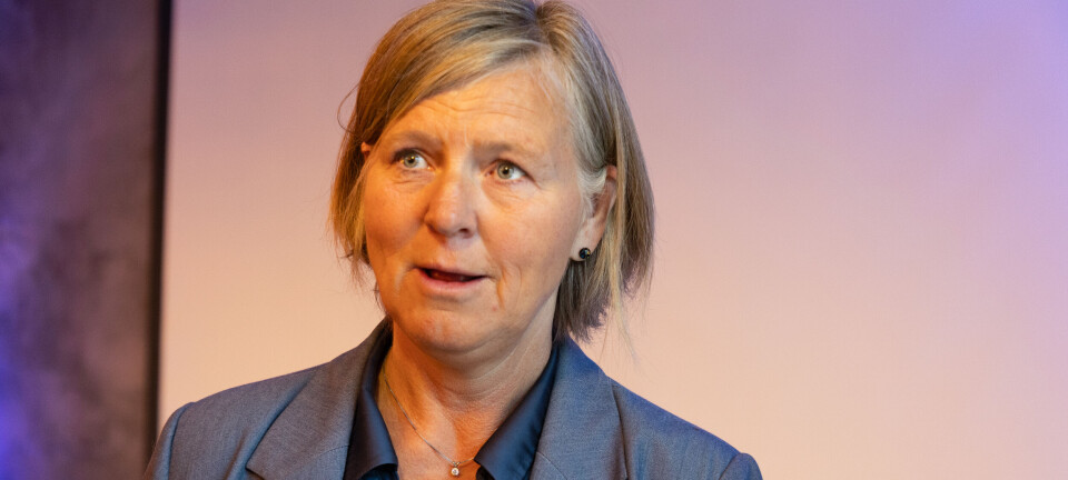 Vil ha dansk utdanning godkjent i Norge – støttes av Legeforeningen